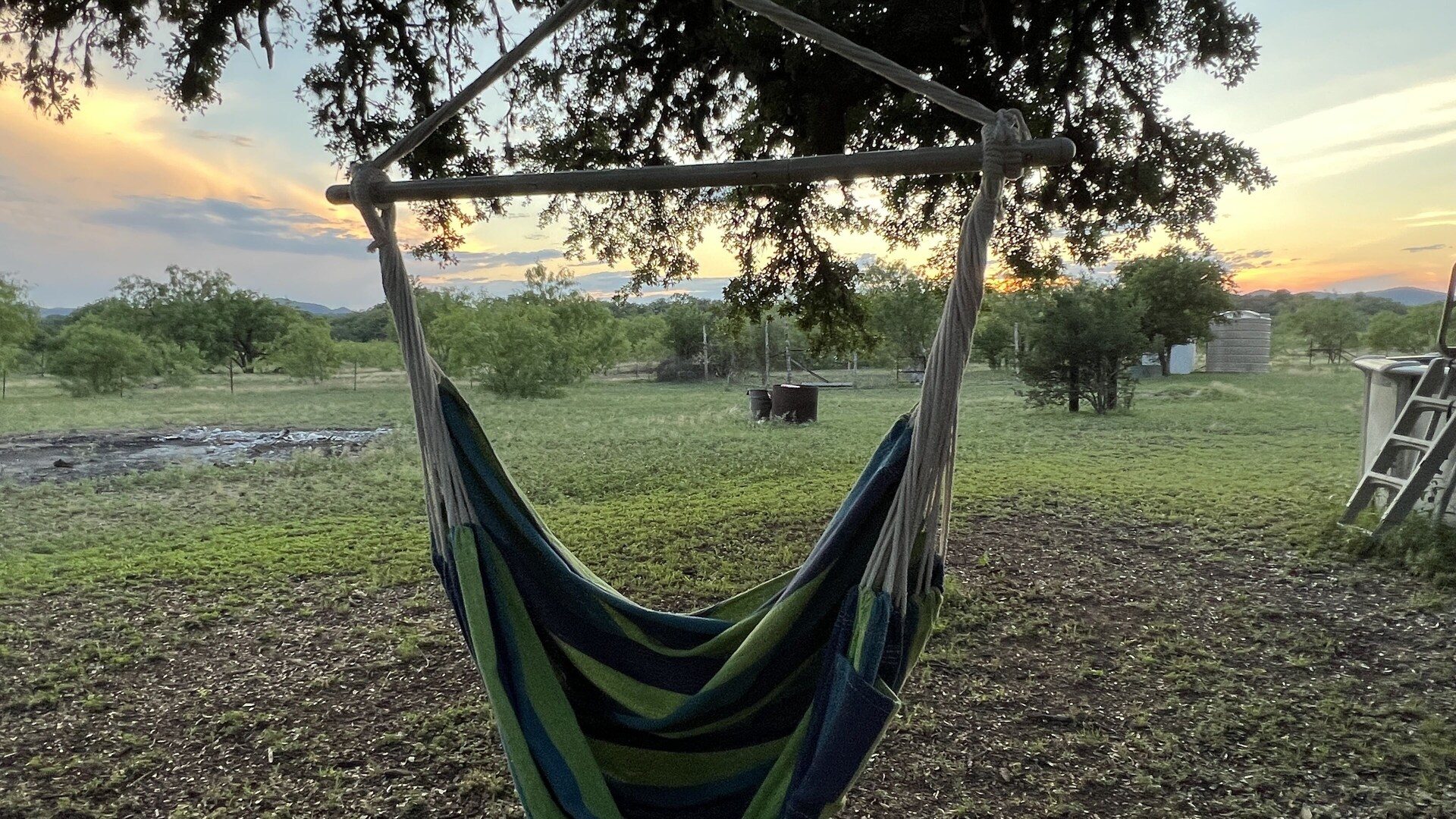 Tree swing at sunset